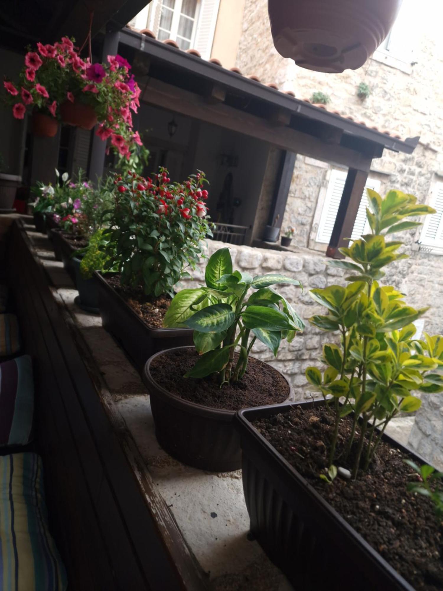 Rooms Dana Old Town Budua Esterno foto